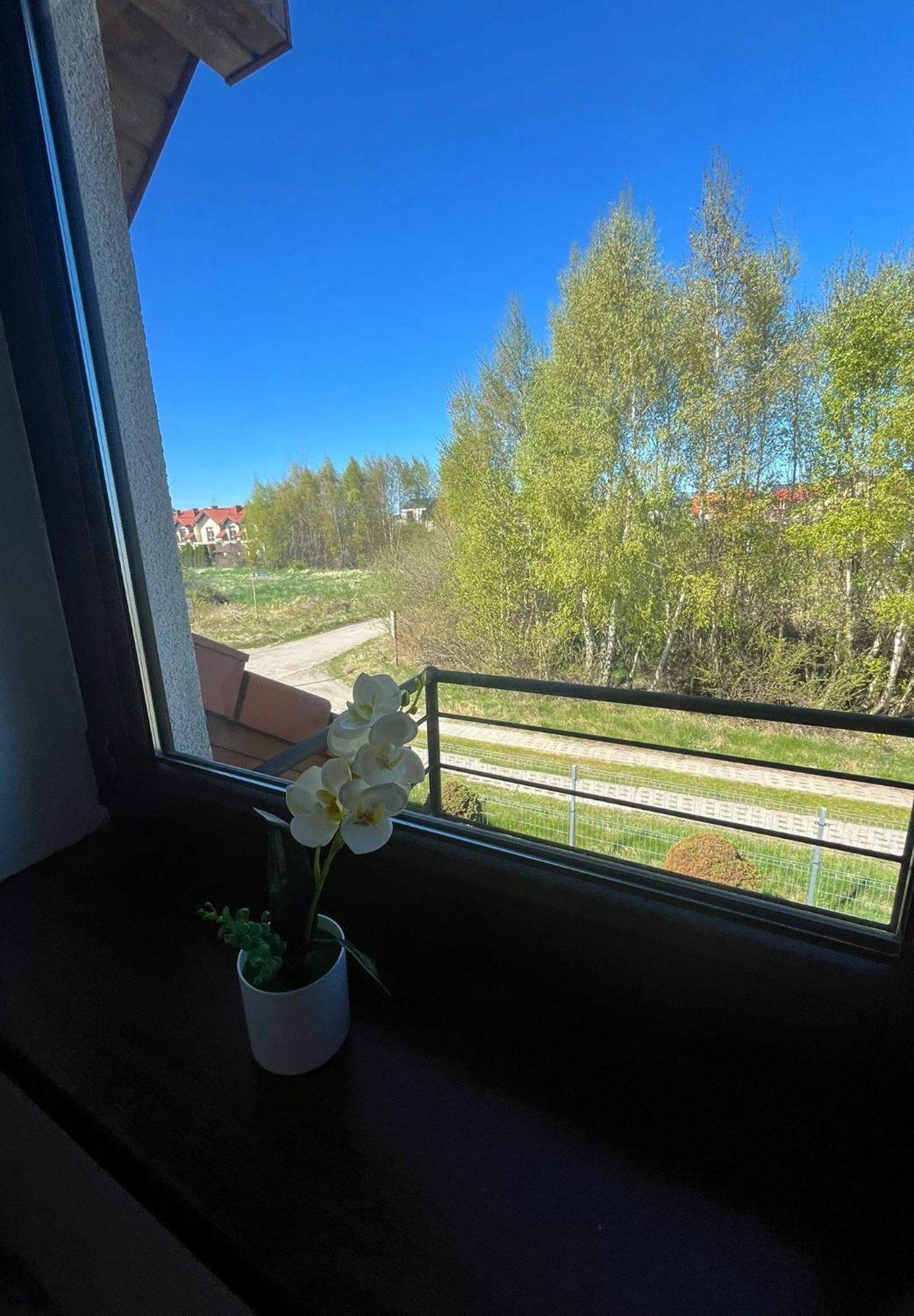 Apartamenty Adrenja Rowy  Exterior foto